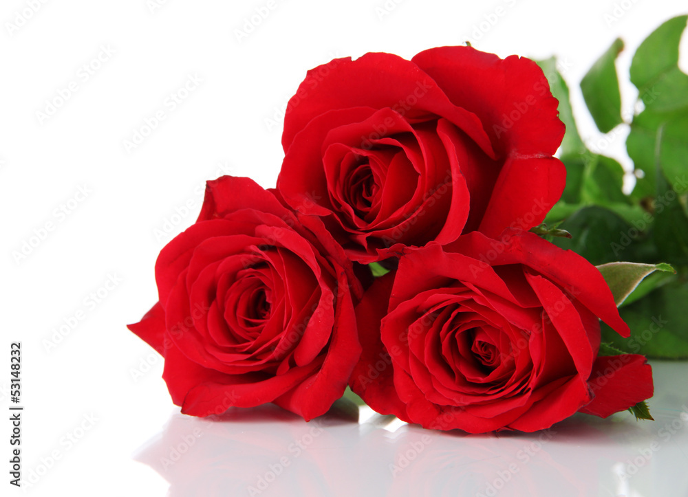Beautiful bouquet of roses isolated on white Beautiful bouquet of roses isolated on white