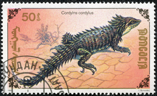 stamp printed by Mongolia, shows lizard