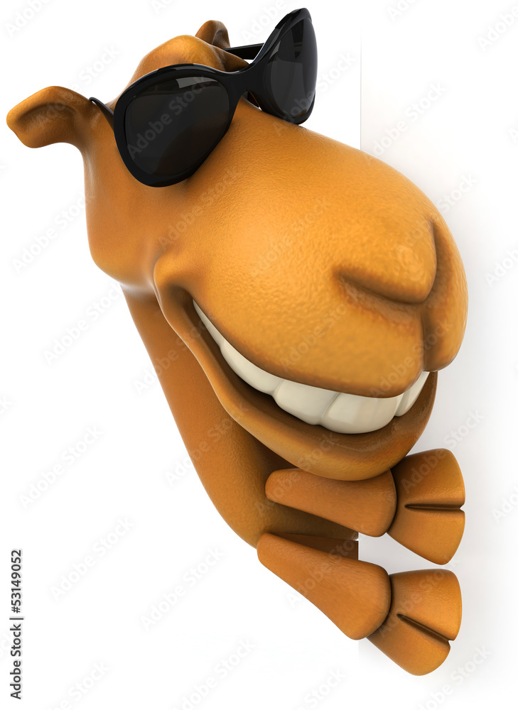 Naklejka premium Fun camel