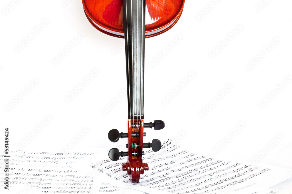 Fototapeta premium Violin