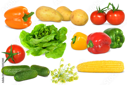 Gemüse 299