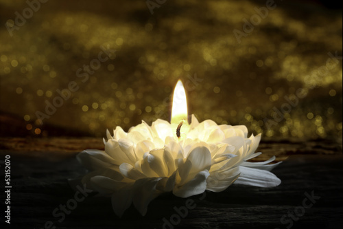 Fototapeta Naklejka Na Ścianę i Meble -  bloom as candle