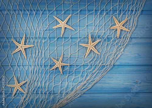 Seastars on the fishing net photo