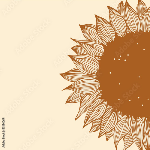 Sunflower contour silhouette