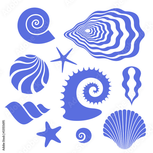 Shell