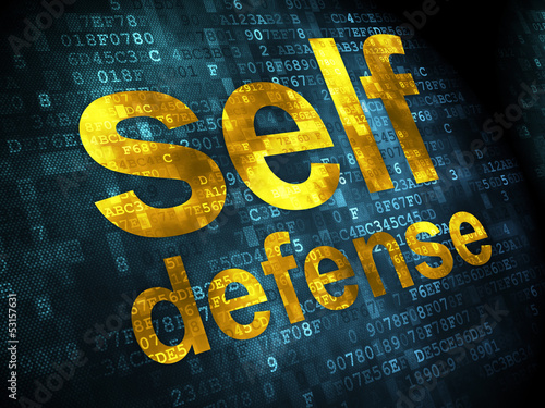 Canvas-taulu Safety concept: Self Defense on digital background