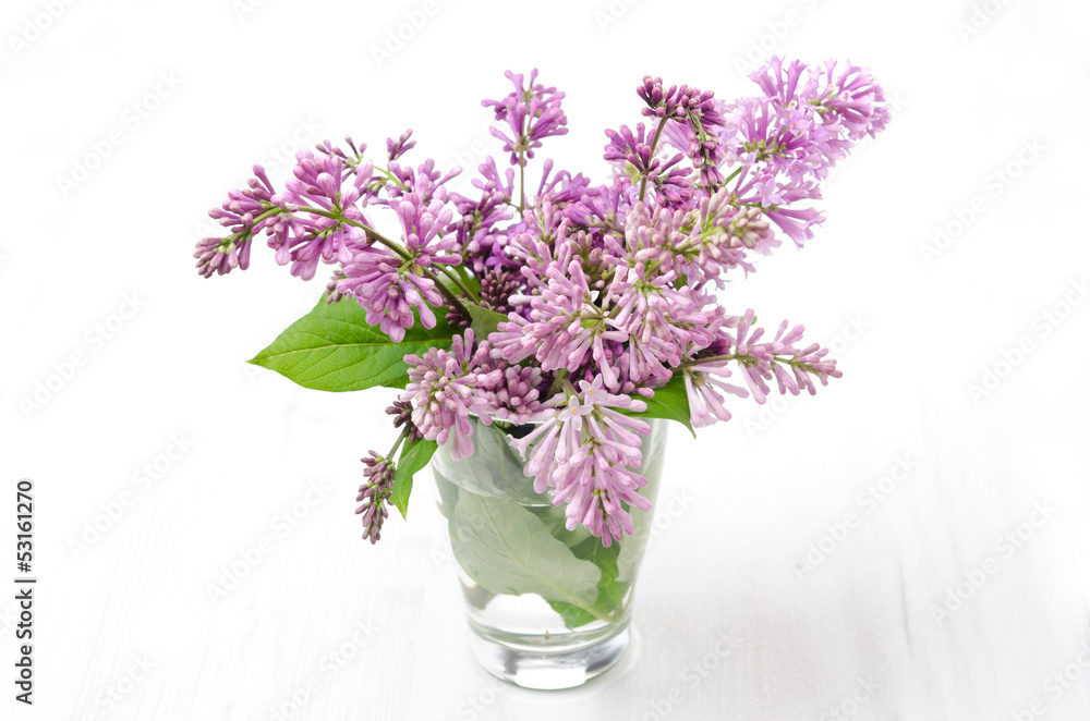 bouquet of lilac in a glass