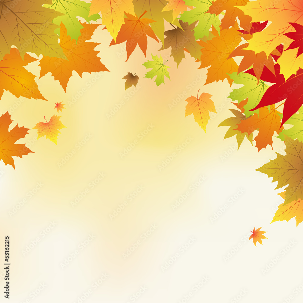 autumn background with leaves vector illustration autumn background with leaves vector illustration