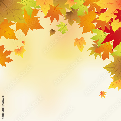 autumn background with leaves vector illustration