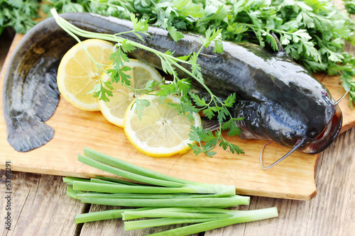 Tableau sur toile river catfish with greens