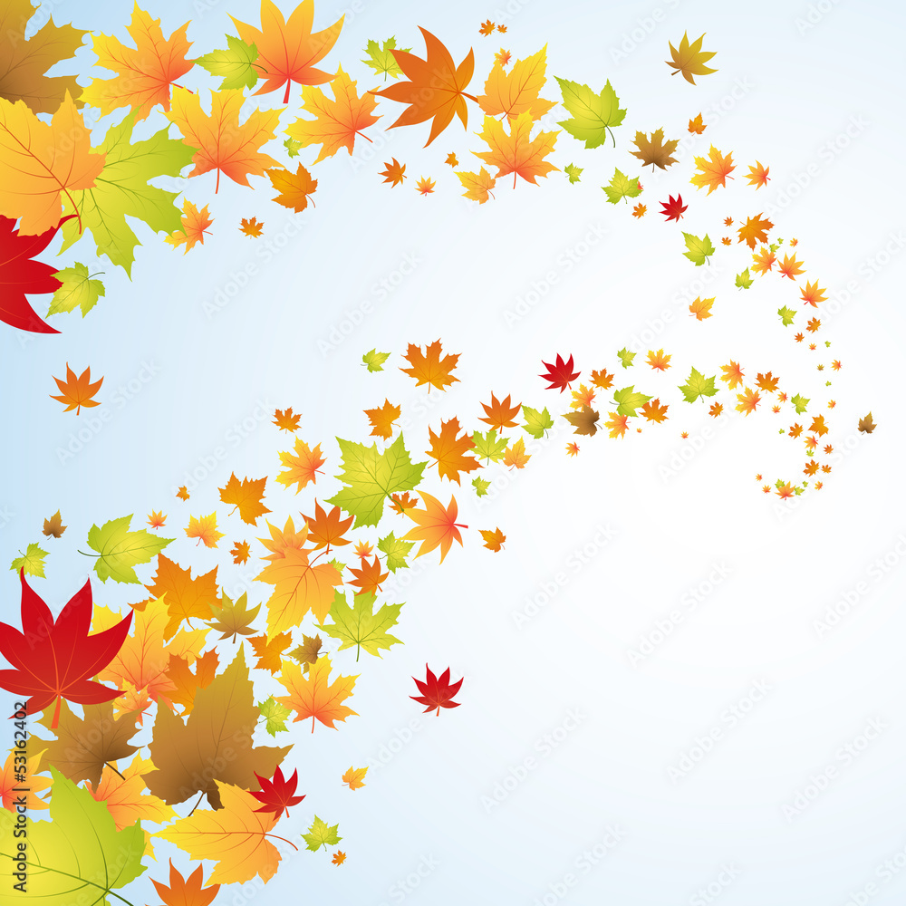 Autumn background with colorful leaves in the sky