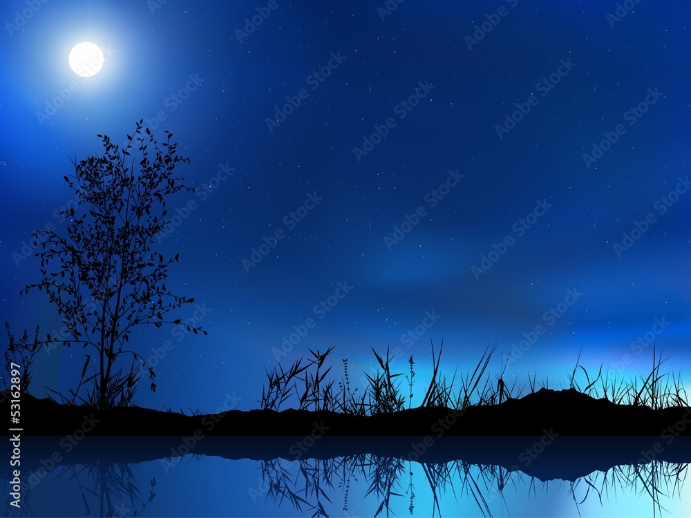 Night Landscape