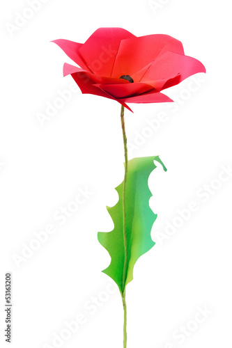 Fototapeta Naklejka Na Ścianę i Meble -  Origami poppy flower