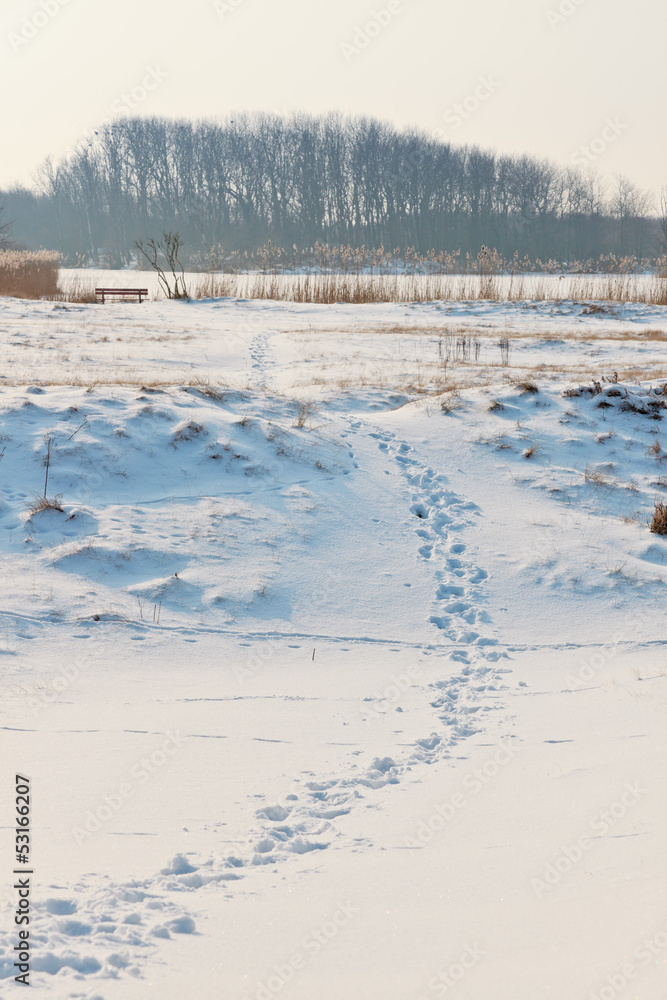 Dutch winter snow landscape with footsteps and trees and blue sk