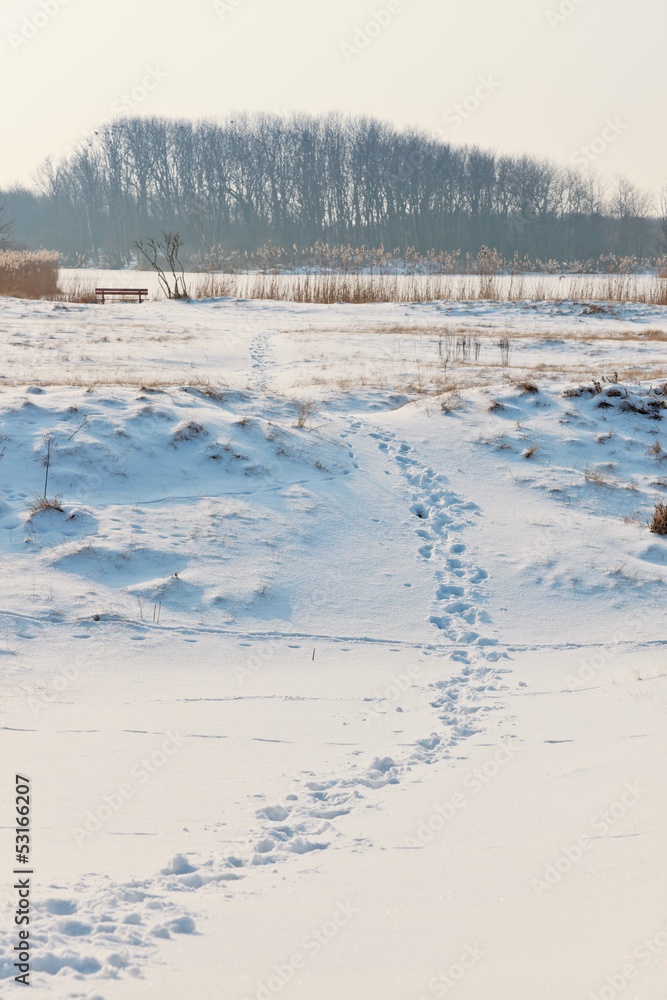 Dutch winter snow landscape with footsteps and trees and blue sk Dutch winter snow landscape with footsteps and trees and blue sk