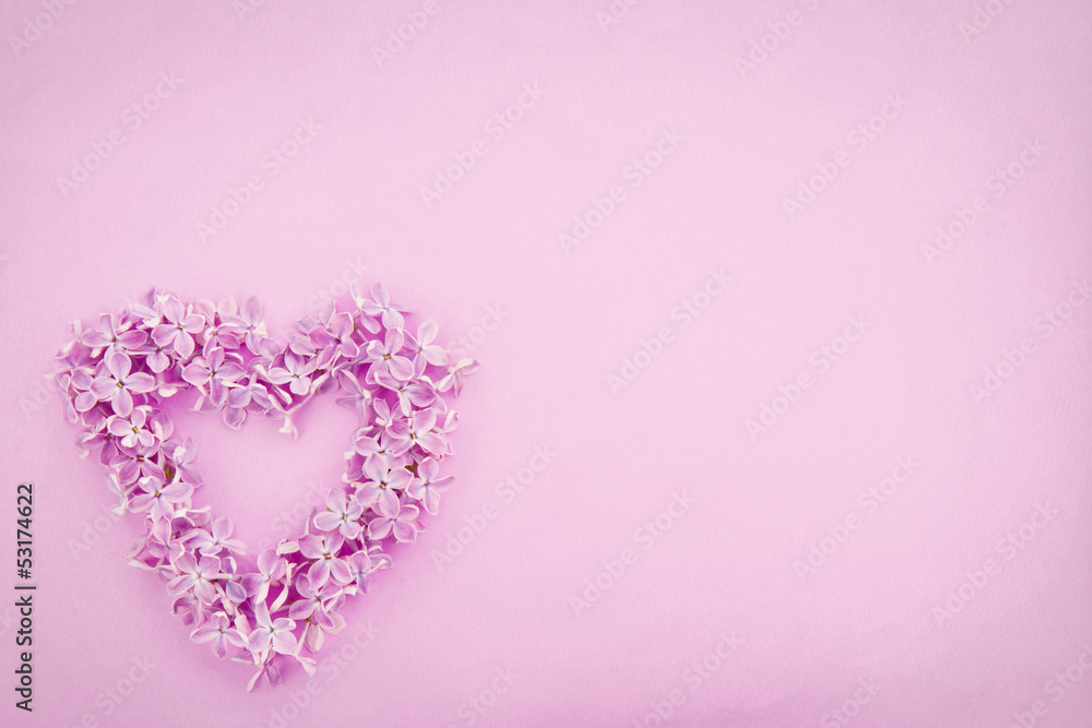 Lilac flower heart on textured background