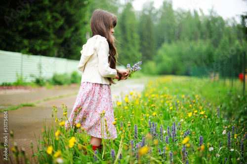 Little girl picking up summer flowers