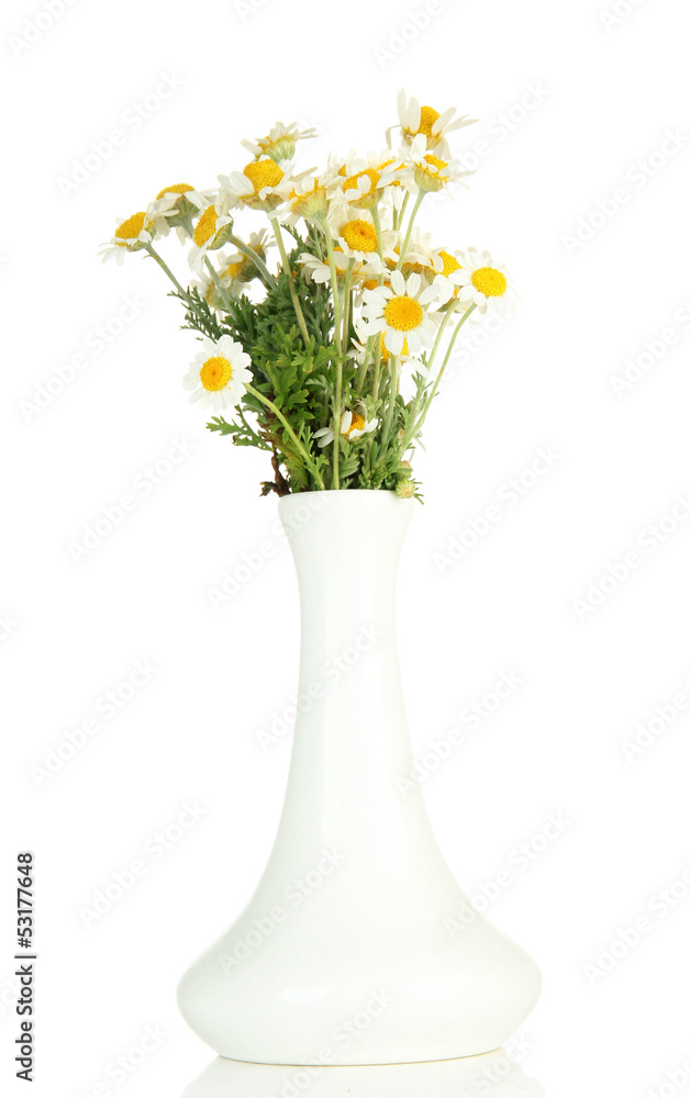 Beautiful wild camomiles in .vase, isolated on white Beautiful wild camomiles in .vase, isolated on white