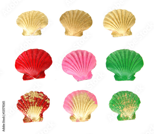Colorful seashells, isolated on white