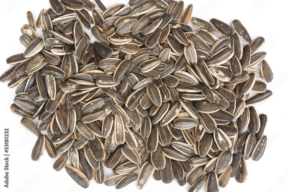 A Lot Black Melon Seeds isolated A Lot Black Melon Seeds isolated