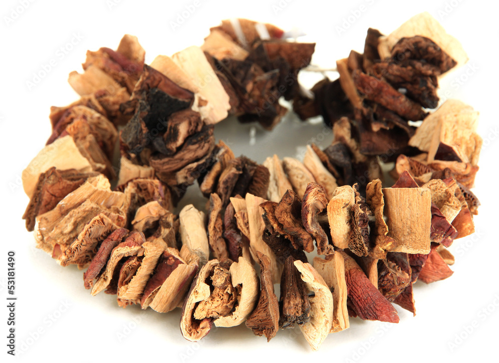 Obraz premium Dried mushrooms on string isolated on white