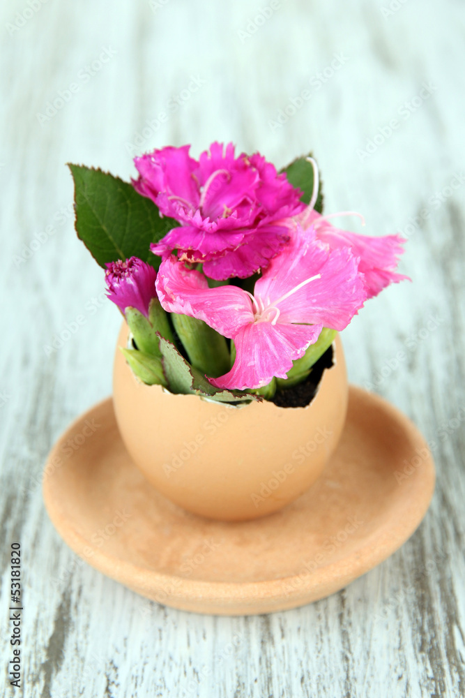 Flowers growing from egg shell, on wooden background Flowers growing from egg shell, on wooden background