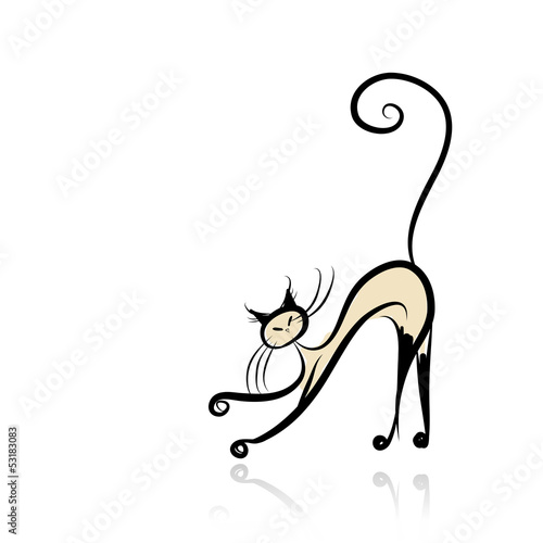 Graceful siamese cat for your design