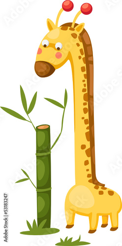 cute giraffe with bamboo