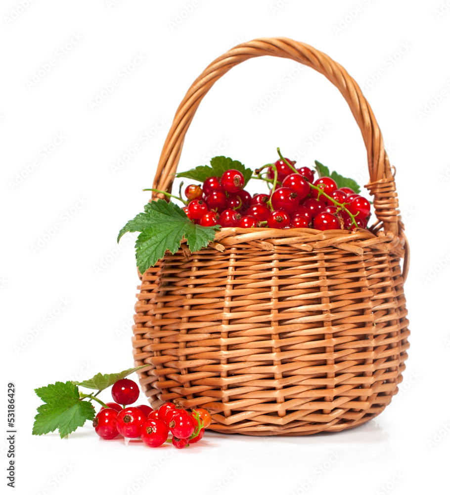 ripe currant in a basket ripe currant in a basket