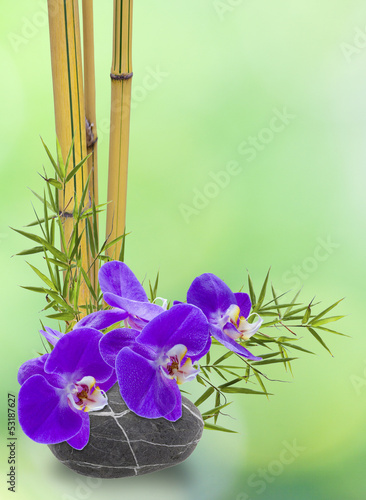 Fototapeta Naklejka Na Ścianę i Meble -  orchidée sur galet et bambou