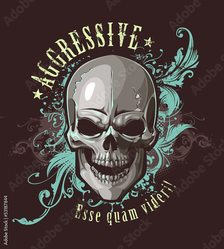 Grunge image with skull