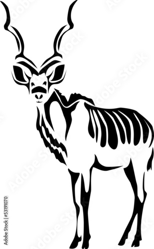 kudu photo