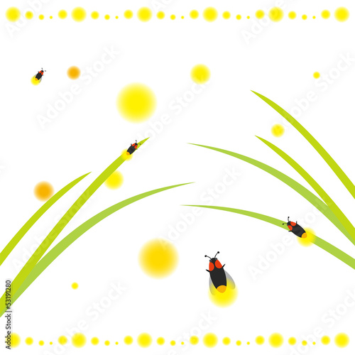 かわいい螢　夏のイラスト