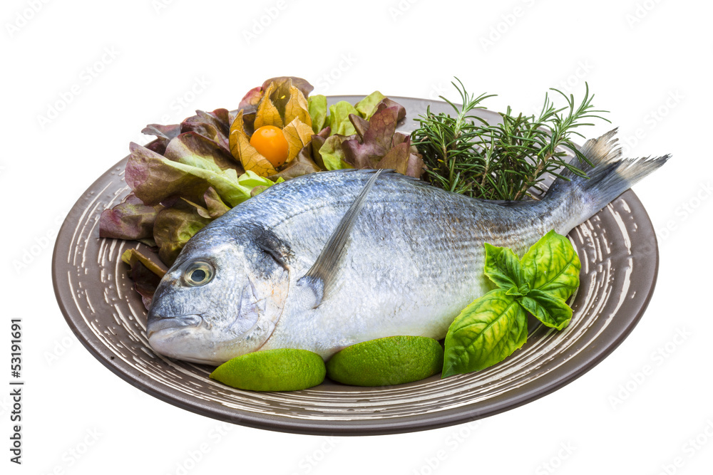 Fresh raw dorada Fresh raw dorada