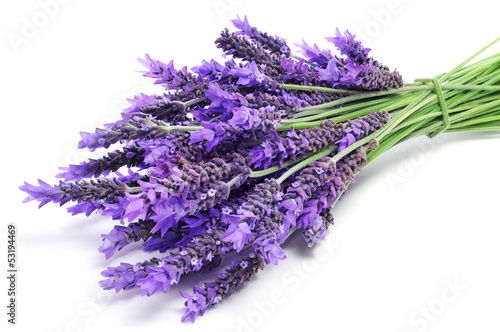 Photo lavender flowers