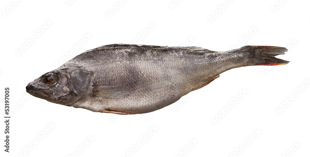 Fototapeta premium Dried fish the perch