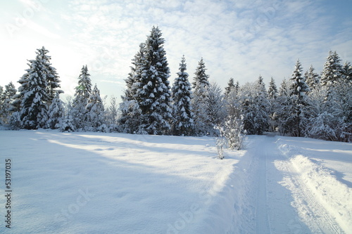 Winterweg im Schnee