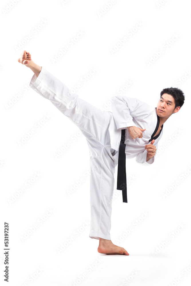 taekwondo action