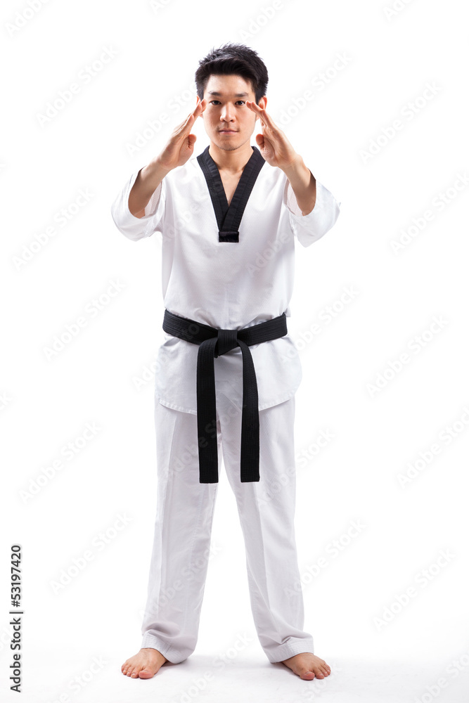 taekwondo action taekwondo action