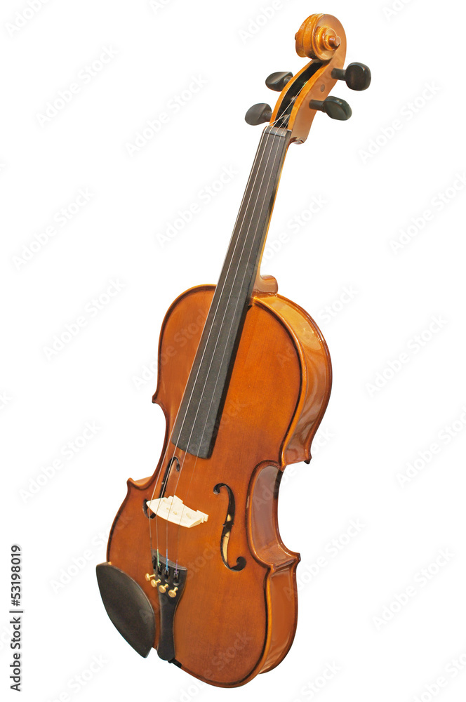 Fototapeta premium Violin