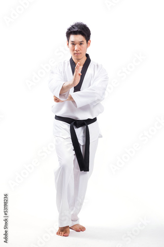 taekwondo action