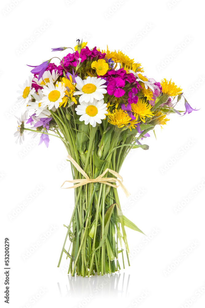 Beautiful bouquet of wildflowers Beautiful bouquet of wildflowers
