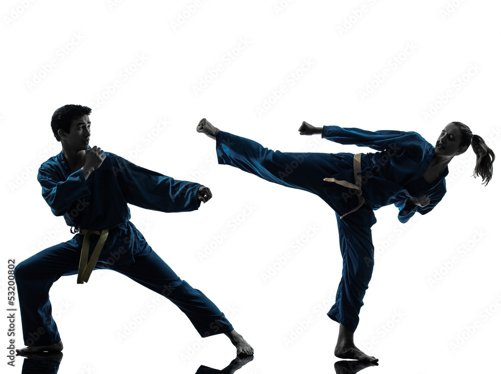karate vietvodao martial arts man woman couple silhouette karate vietvodao martial arts man woman couple silhouette