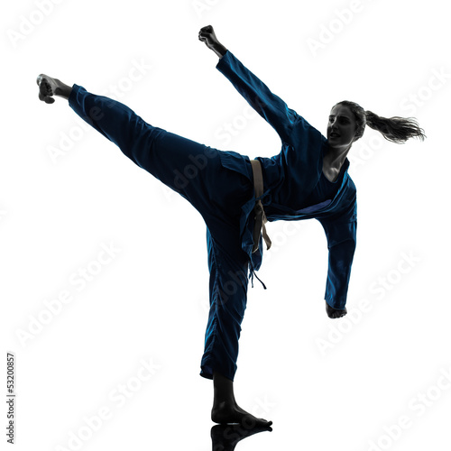 karate vietvodao martial arts woman silhouette