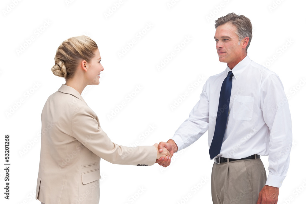 Mature businessman shaking hands with his coworker Mature businessman shaking hands with his coworker