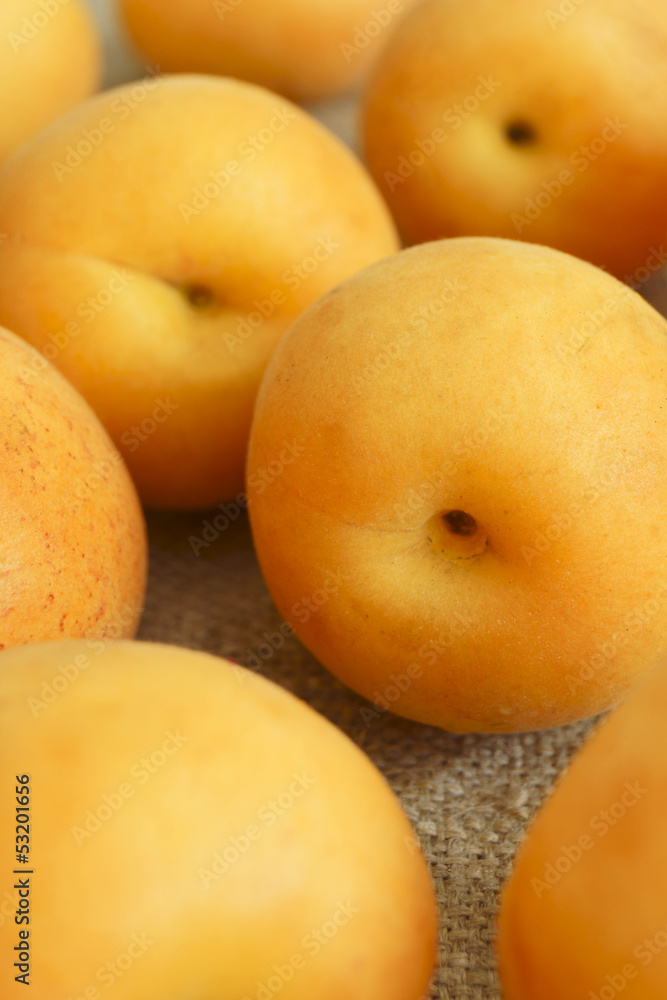 Apricot. Apricot.