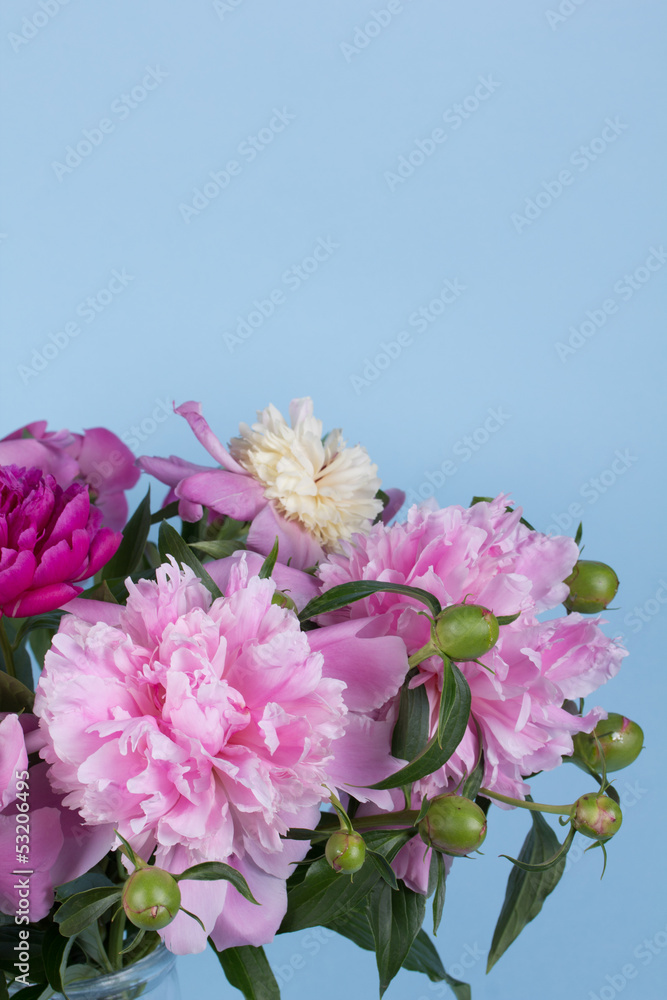 bouquet of peonies