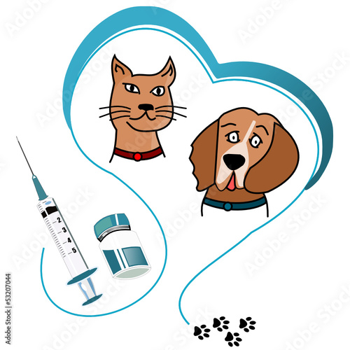 Vaccination animal