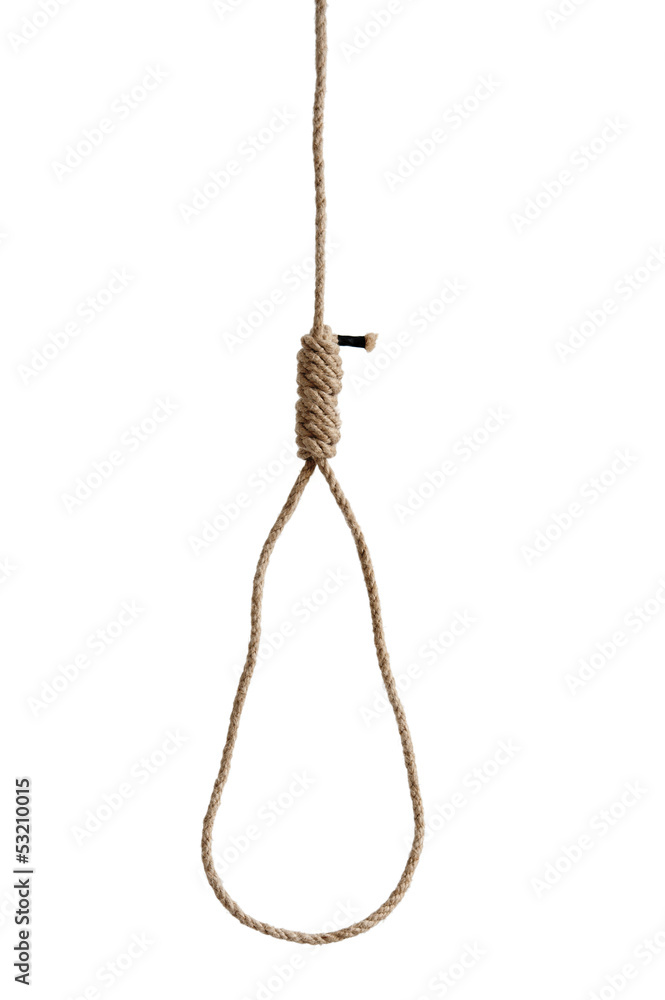 hangmans rope noose isolated on white hangmans rope noose isolated on white