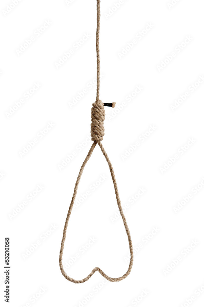 hangmans rope noose isolated on white hangmans rope noose isolated on white